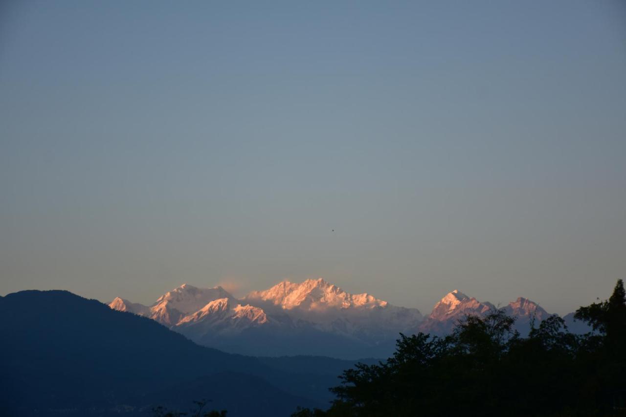 Singtom Tea Estate & Resort Darjeeling  Esterno foto