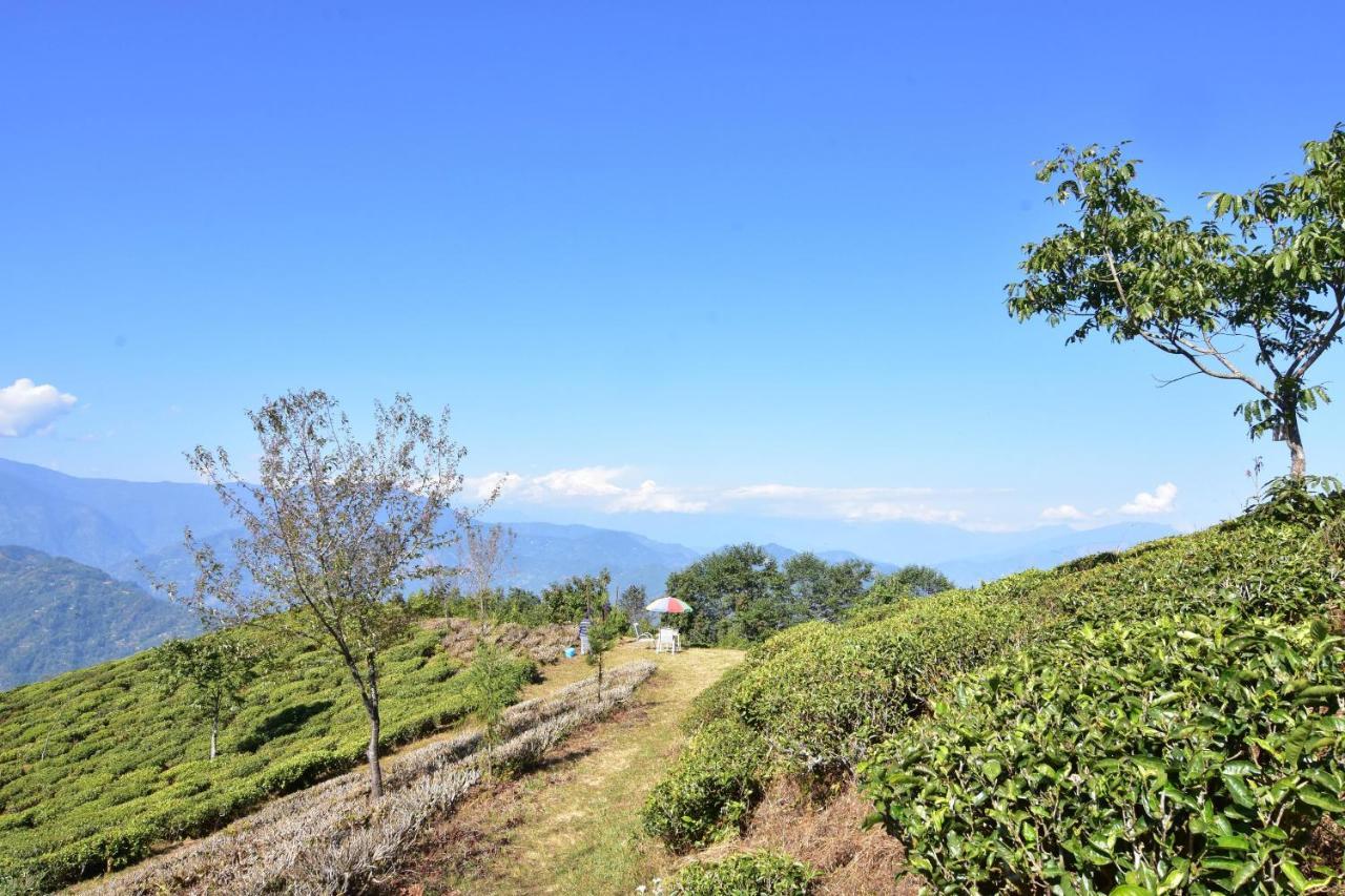 Singtom Tea Estate & Resort Darjeeling  Esterno foto