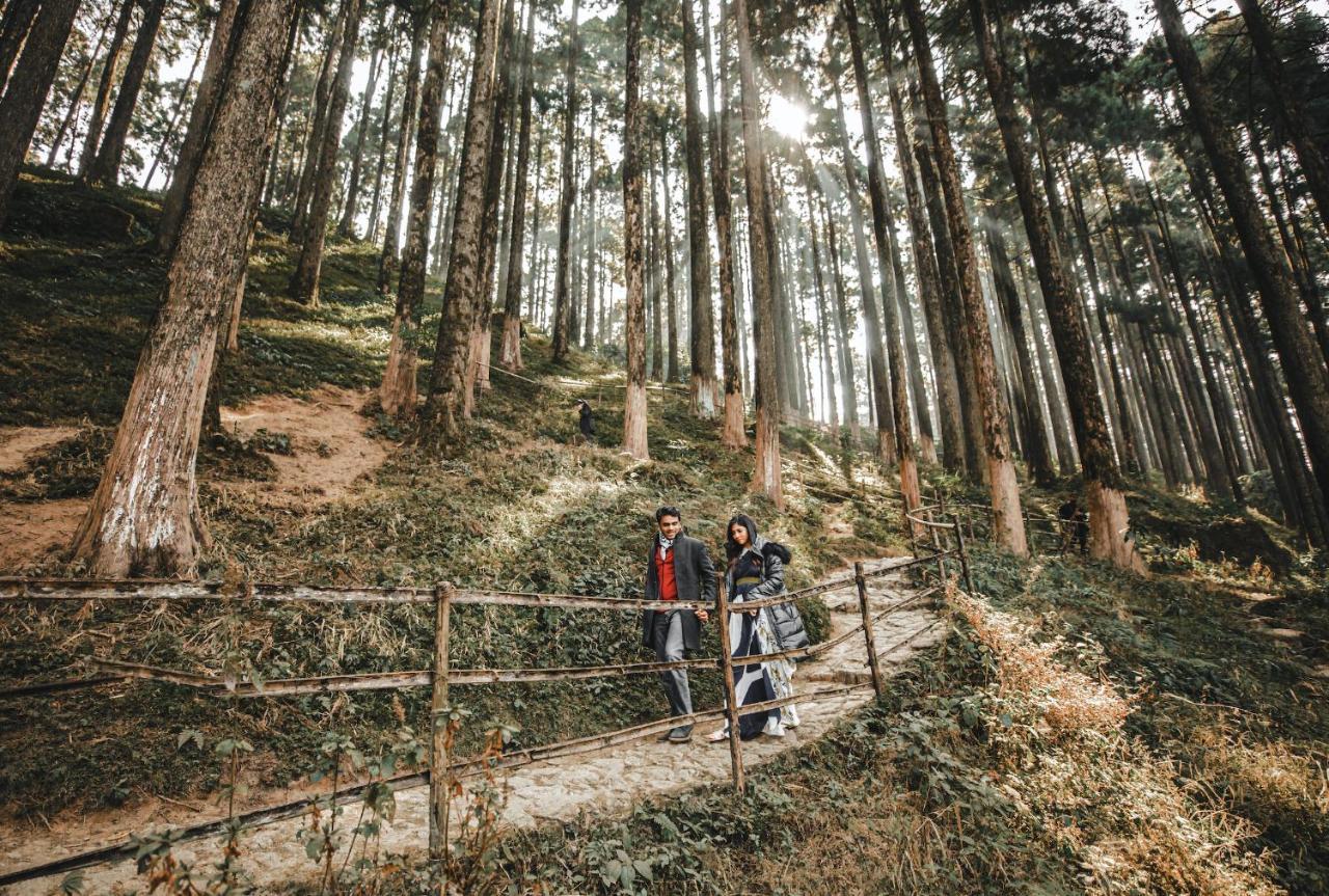 Singtom Tea Estate & Resort Darjeeling  Esterno foto