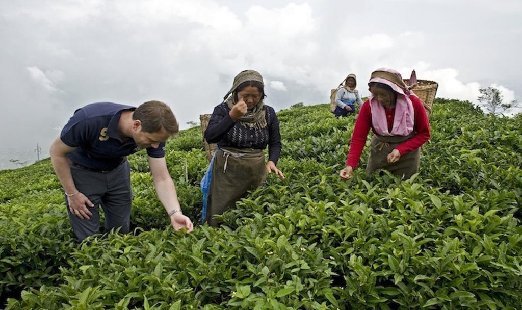 Singtom Tea Estate & Resort Darjeeling  Esterno foto